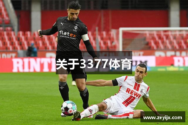 关于3377体育